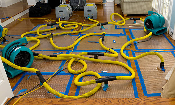 Professional Structural Drying And Dehumidification technician working in Merrill, IA